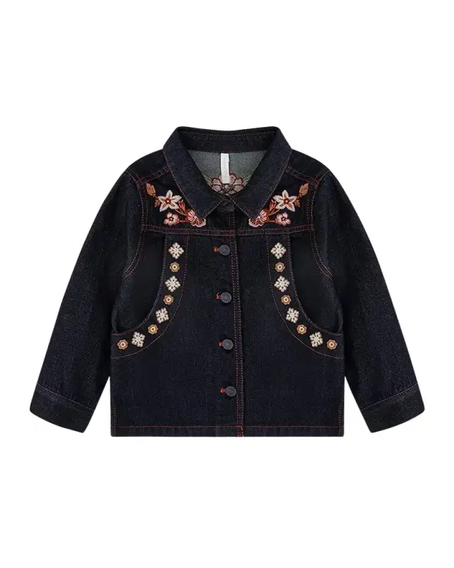 Girl 's Aster Embroidered Denim Jacket, Size 1-1