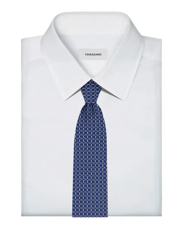 Ferragamo Aida Silk Tie