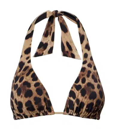 Dolce & Gabbana Leopard-print triangle bikini top | Thumbnail 1