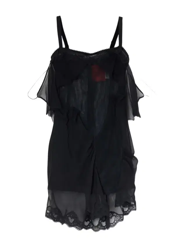 Cold Morning Lace-trimmed Sheer Tulle Mini Dress