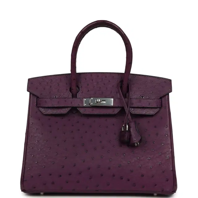 hermes Pre-owned Hermes Birkin 30 Violet Ostrich Palladium Hardware