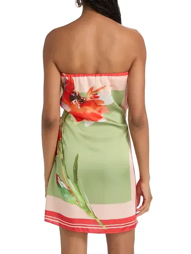 Misa Los Angeles Women's Priya Floral Strapless Side-Tie Minidress - Scarf Flora - Size XL | Thumbnail 5