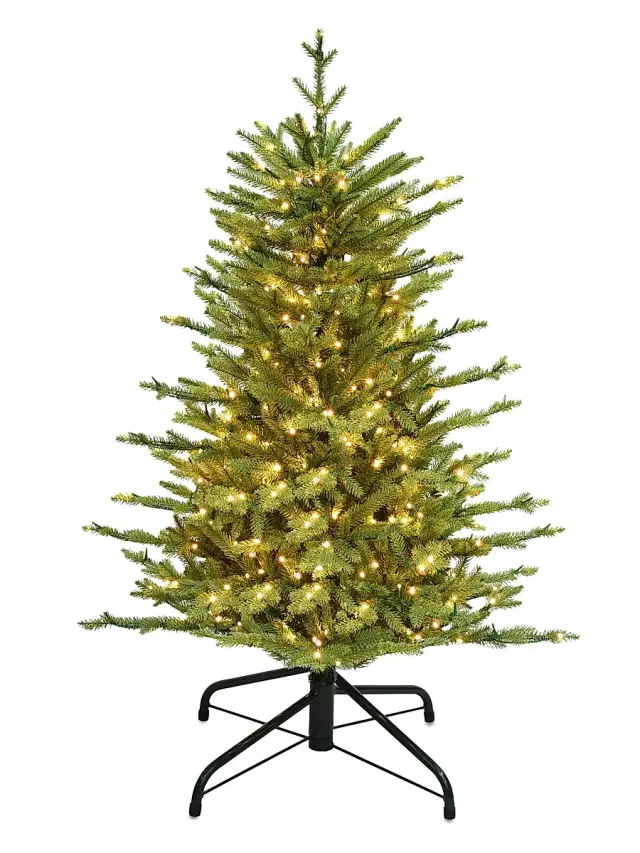 Winward Home Holiday Newness Deluxe 4' Pre-Strung Faux Saint Catherine Tree