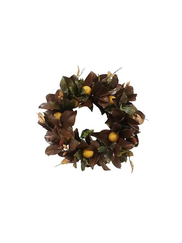 Winward Home Artificial Magnolia Leaf & Lemon Wreath