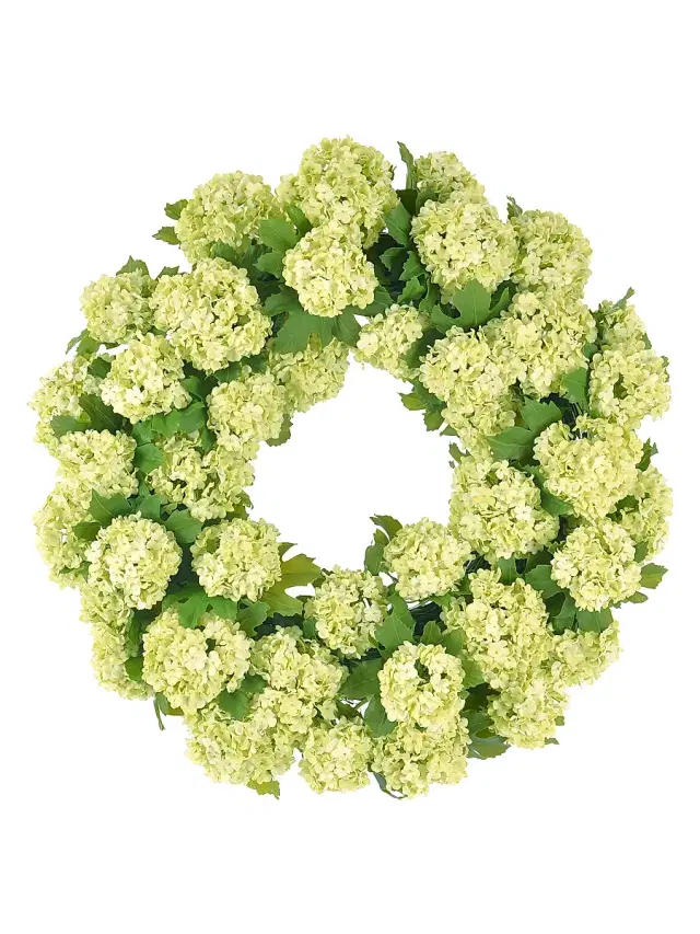 Winward Home Everyday Newness Refresh Imitation Snowball Viburnum Wreath - White Green