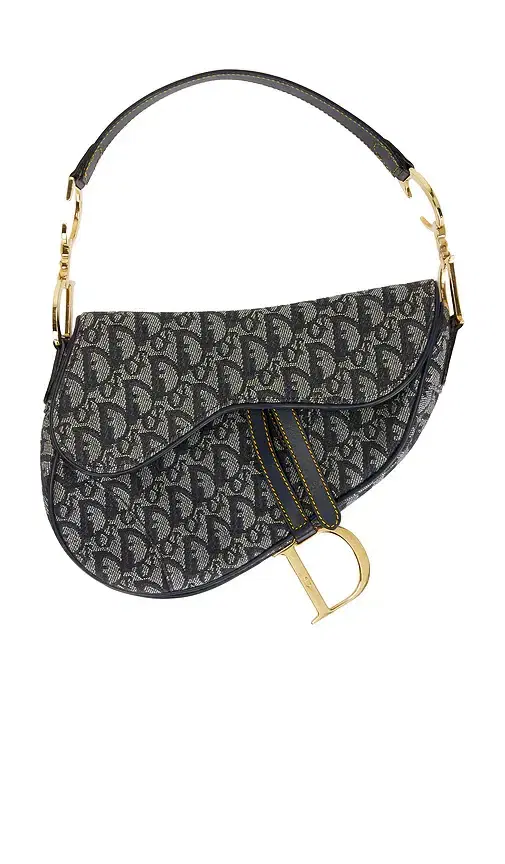 FWRD Renew Dior Trotter Oblique Saddle Bag