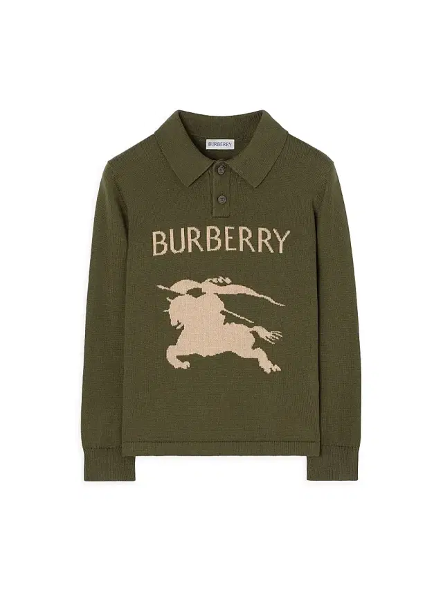 Burberry Little Boy's & Boy's EKD Knit Polo Sweater - Tent Green