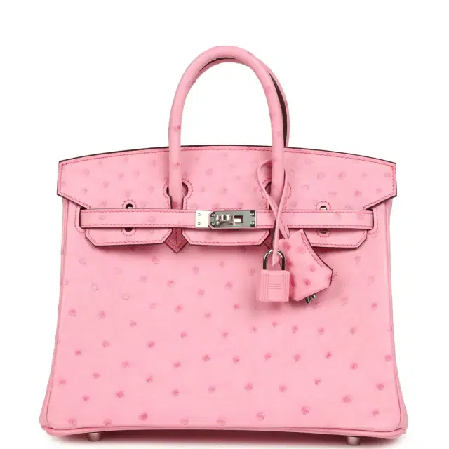 HERMÈS Hermes Birkin 25 Bubblegum Ostrich Boreal Palladium Hardware