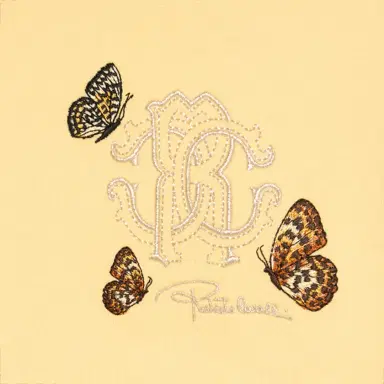 Roberto Cavalli Cotton sweatshirt with embroidery | Thumbnail 3
