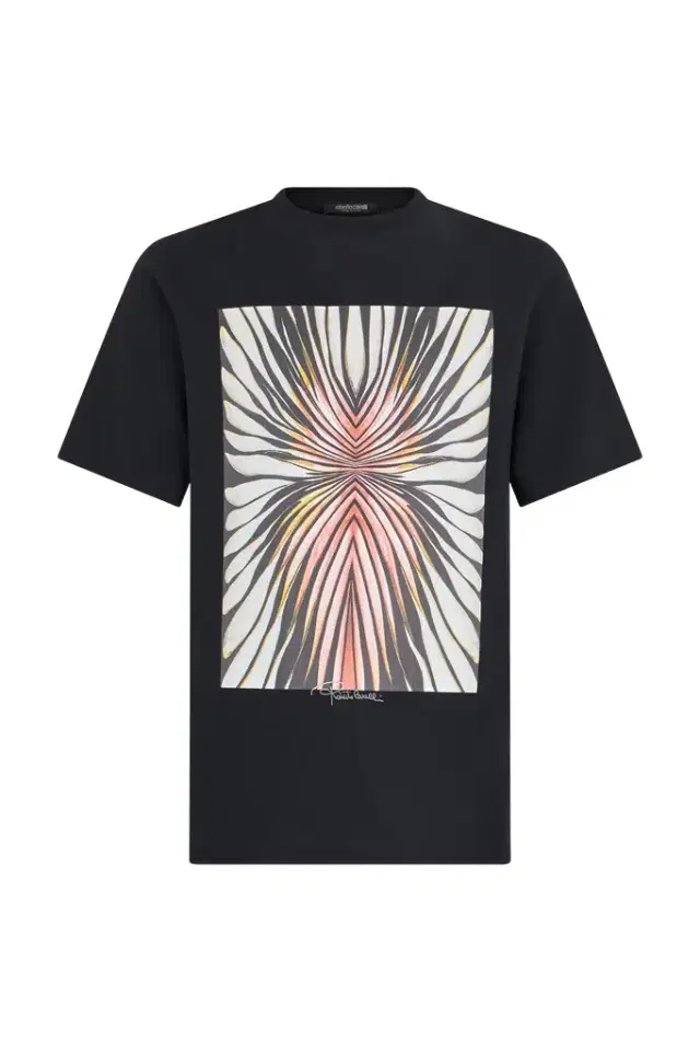 Roberto Cavalli Ray Of Pink Print T-Shirt