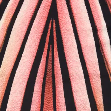 Roberto Cavalli Sheath Dress With Ray Of Pink Print | Thumbnail 4