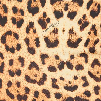 Roberto Cavalli Pencil Skirt With Jaguar Skin Print | Thumbnail 4