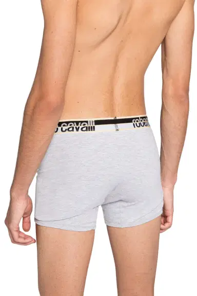 Roberto Cavalli Logo Boxer Briefs | Thumbnail 4