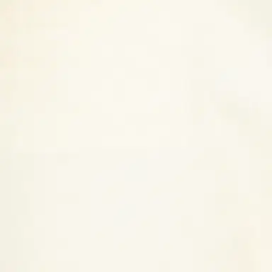 Roberto Cavalli Cream Five Pocket Jeans | Thumbnail 4