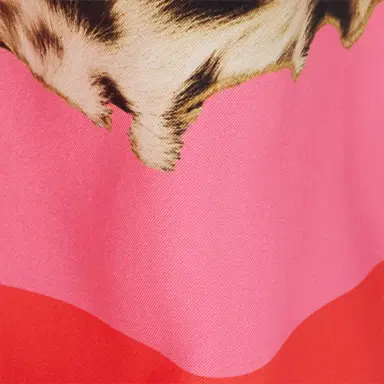 Roberto Cavalli Palazzo Pants with Cavalli Pop Print | Thumbnail 4