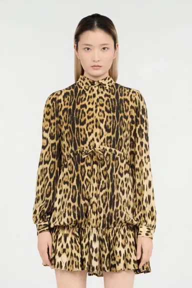 Roberto Cavalli Leopard Print Mini Dress | Thumbnail 2