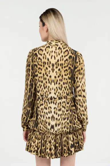 Roberto Cavalli Leopard Print Mini Dress | Thumbnail 3