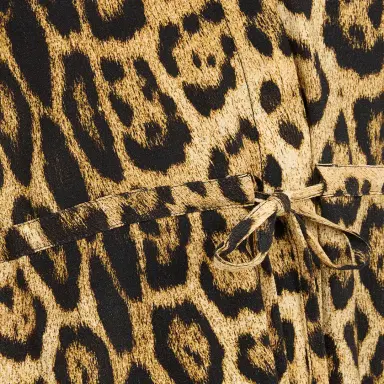 Roberto Cavalli Leopard Print Mini Dress | Thumbnail 4
