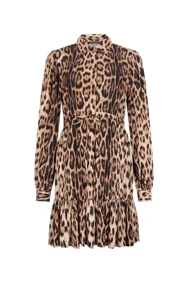 Roberto Cavalli Leopard Print Mini Dress | Thumbnail 1