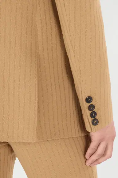 Roberto Cavalli Striped Double-Breasted Jacket | Thumbnail 5