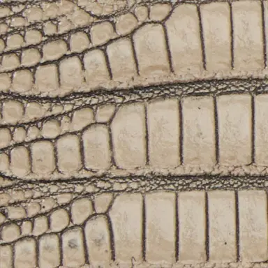 Roberto Cavalli Ivory Belt With Cobra Print And Snake Buckle | Thumbnail 3 Roberto Cavalli Ivory Belt With Cobra Print And Snake Buckle | Thumbnail 3