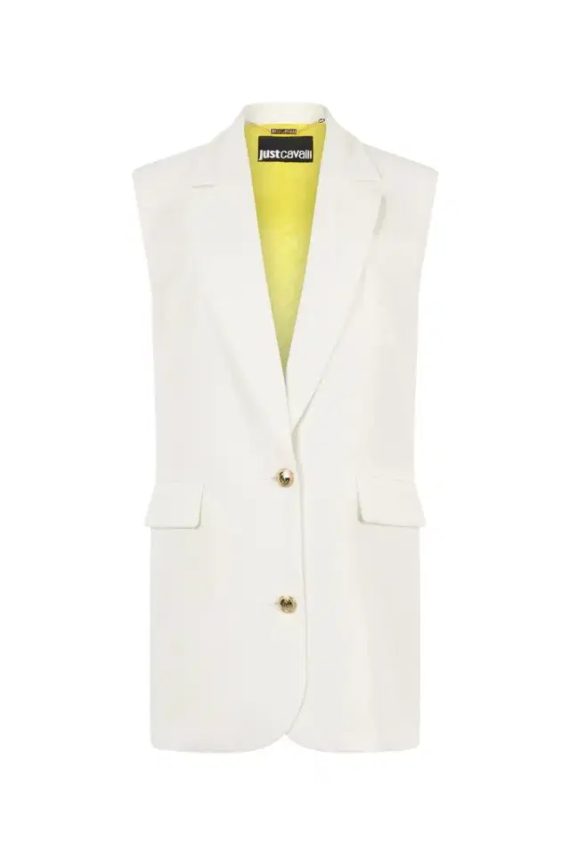 Roberto Cavalli Single-Breasted Blazer Dress