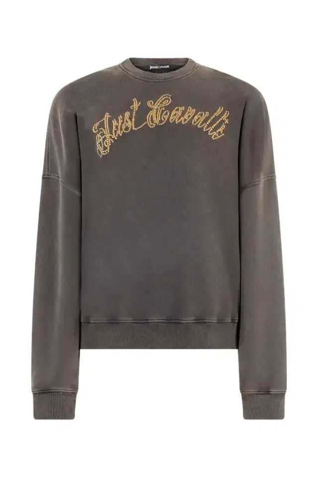 Roberto Cavalli Sweatshirt With Bejeweled Logo Studs