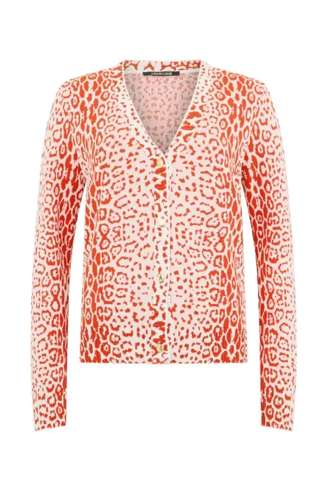 Roberto Cavalli Jaguar Print Twin Set