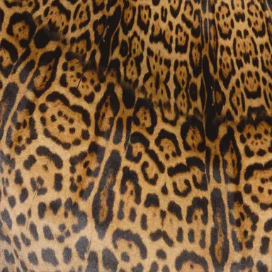 Roberto Cavalli Long silk dress with Jaguar Skin print | Thumbnail 4 Roberto Cavalli Long silk dress with Jaguar Skin print | Thumbnail 4