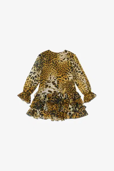 Roberto Cavalli Leopard-print dress | Thumbnail 2