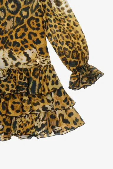 Roberto Cavalli Leopard-print dress | Thumbnail 3