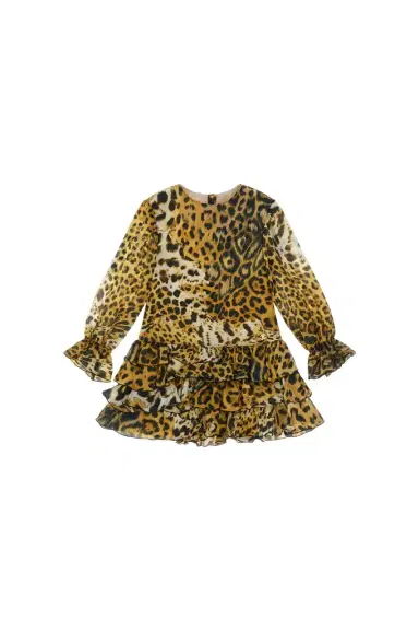 Roberto Cavalli Leopard-print dress | Thumbnail 1