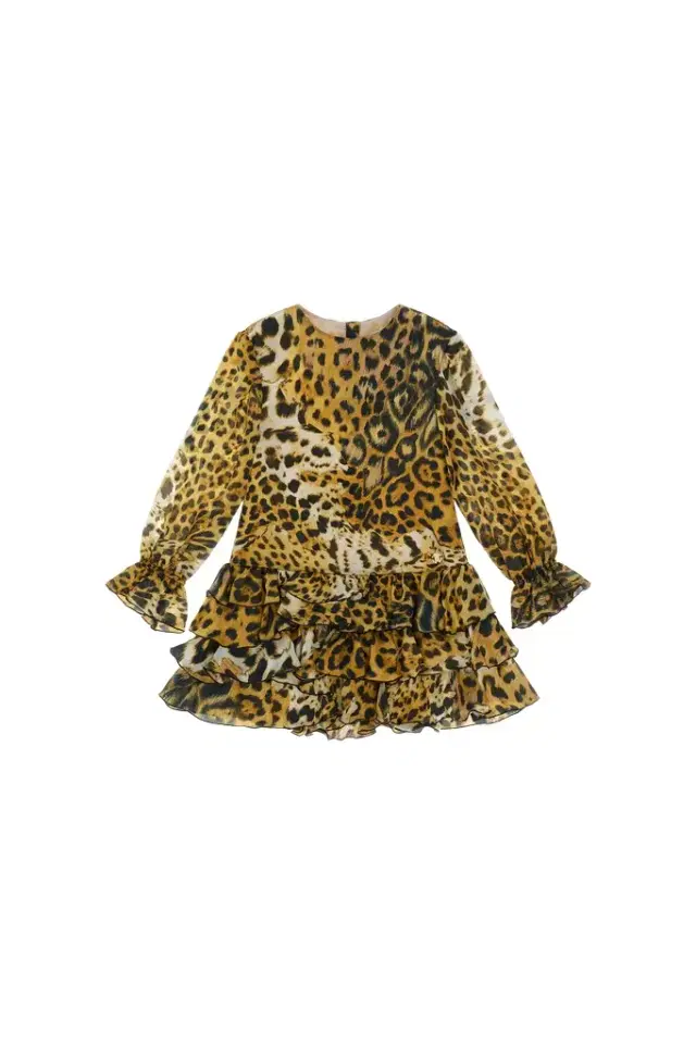 Roberto Cavalli Leopard-print dress