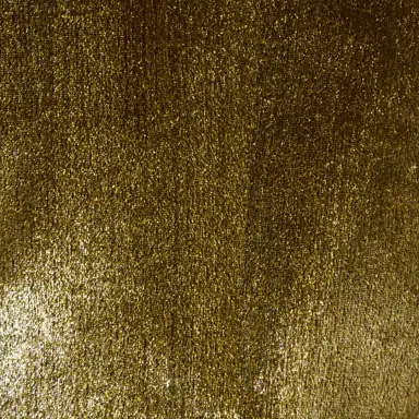 Roberto Cavalli Gold Velvet Blazer | Thumbnail 4 Roberto Cavalli Gold Velvet Blazer | Thumbnail 4
