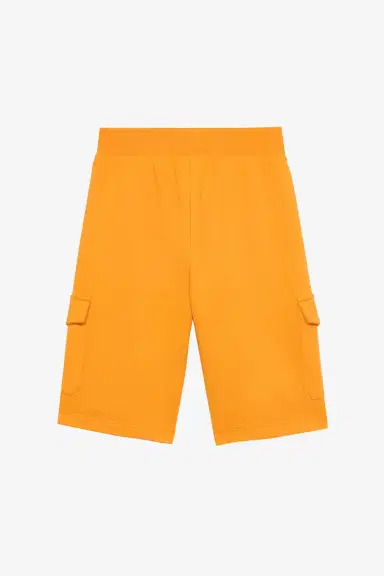 Roberto Cavalli Sports Shorts With Animal Patchwork Appliqué | Thumbnail 2