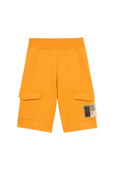 Roberto Cavalli Sports Shorts With Animal Patchwork Appliqué | Thumbnail 1