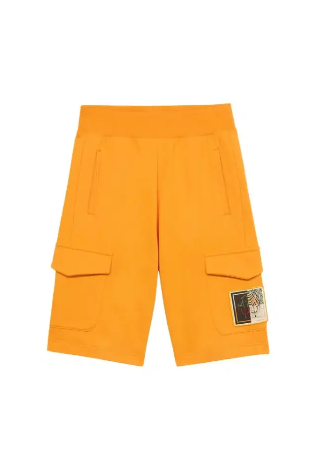 Roberto Cavalli Sports Shorts With Animal Patchwork Appliqué