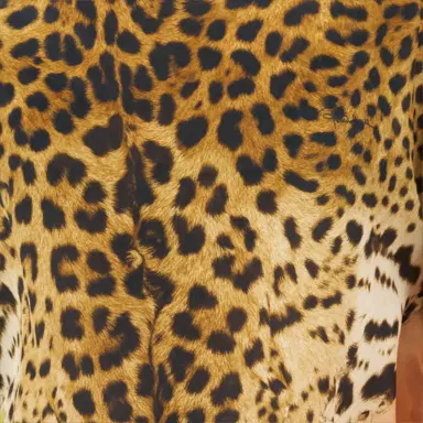 Roberto Cavalli Silk kaftan with Cavalli Pop print | Thumbnail 4