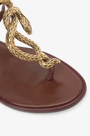 Roberto Cavalli Brown Flat Thong Sandals with Snake Motif | Thumbnail 5