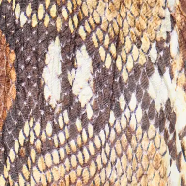 Roberto Cavalli Python Print Shirt Bodysuit | Thumbnail 4