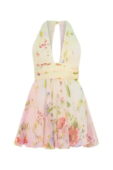 Roberto Cavalli Chiffon Mini Dress with Miami Flowers Print | Thumbnail 1