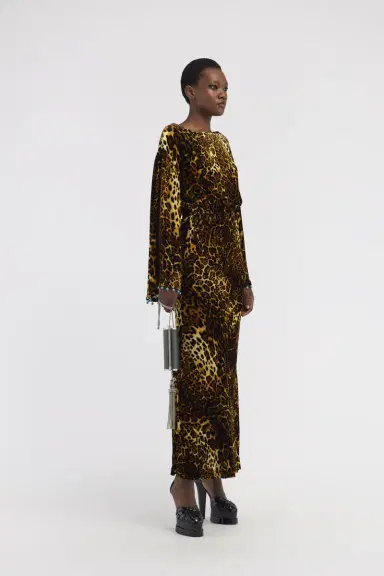 Roberto Cavalli Leopard print velvet dress | Thumbnail 2