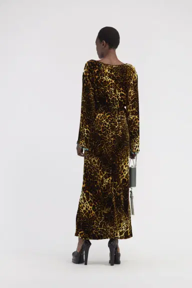 Roberto Cavalli Leopard print velvet dress | Thumbnail 3