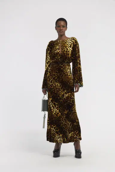 Roberto Cavalli Leopard print velvet dress | Thumbnail 5
