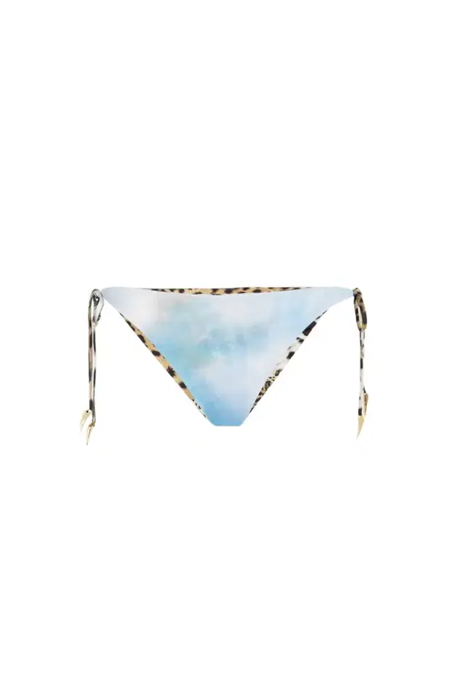Roberto Cavalli Painting-Print Bikini Briefs
