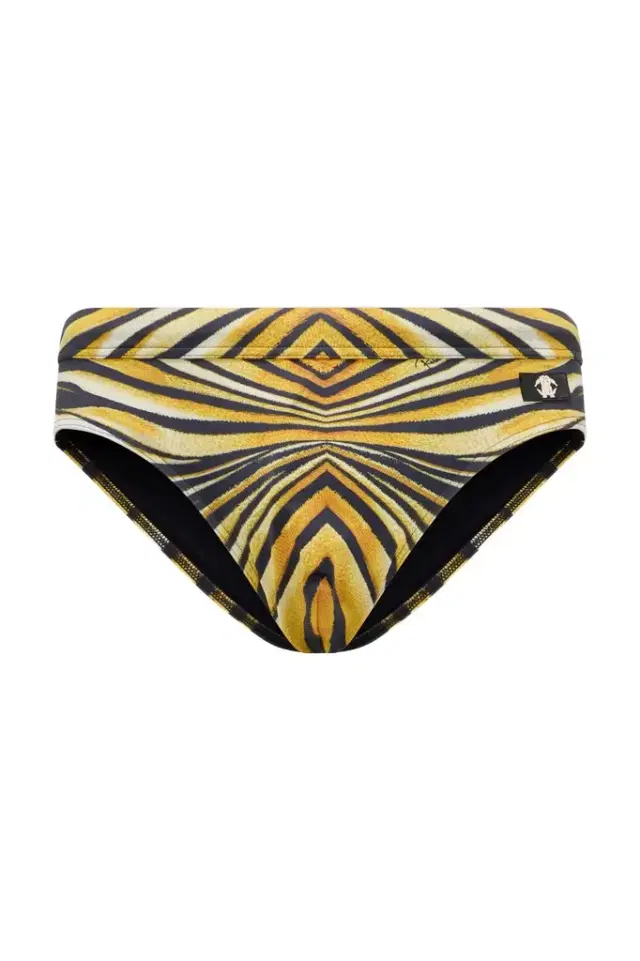 Ray Of Gold Print Sea Brief