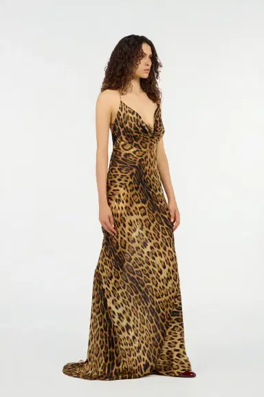 Roberto Cavalli Long Silk Dress With Jaguar Skin Print | Thumbnail 2