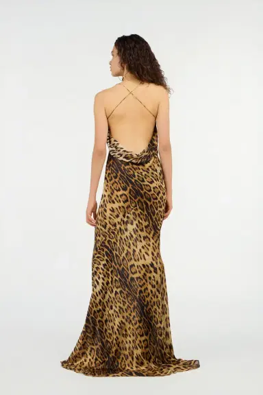 Roberto Cavalli Long Silk Dress With Jaguar Skin Print | Thumbnail 3