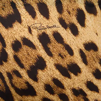 Roberto Cavalli Long Silk Dress With Jaguar Skin Print | Thumbnail 4