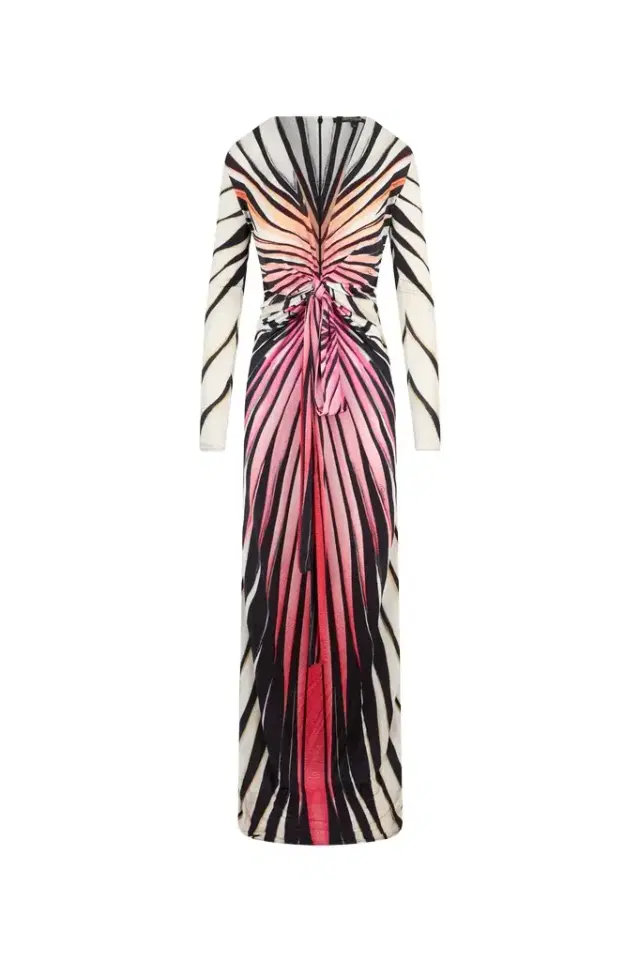 Ray Of Paradise Print Maxi Dress